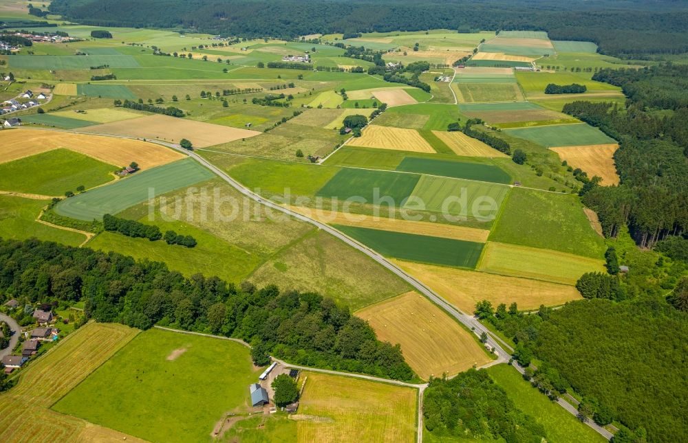 Luftaufnahme Warstein - Strukturen auf landwirtschaftlichen Feldern in Warstein im Bundesland Nordrhein-Westfalen