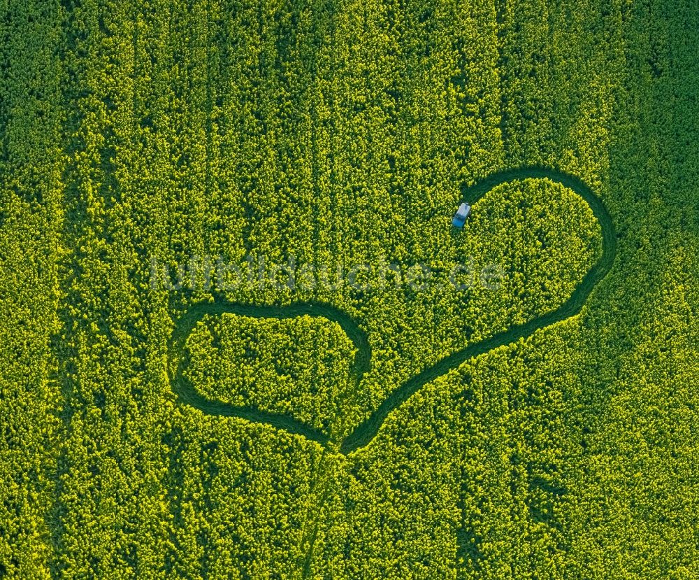 Welver von oben - Strukturen auf landwirtschaftlichen Feldern in Welver im Bundesland Nordrhein-Westfalen, Deutschland