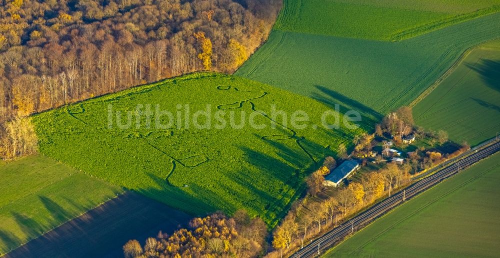 Welver aus der Vogelperspektive: Strukturen auf landwirtschaftlichen Feldern in Welver im Bundesland Nordrhein-Westfalen, Deutschland