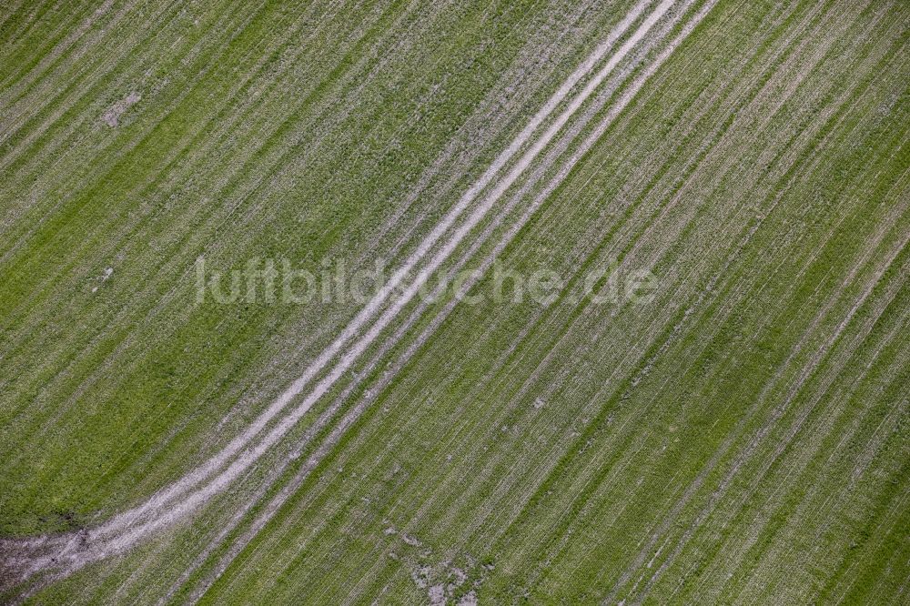 Luftbild Werneuchen - Strukturen auf landwirtschaftlichen Feldern in Werneuchen im Bundesland Brandenburg