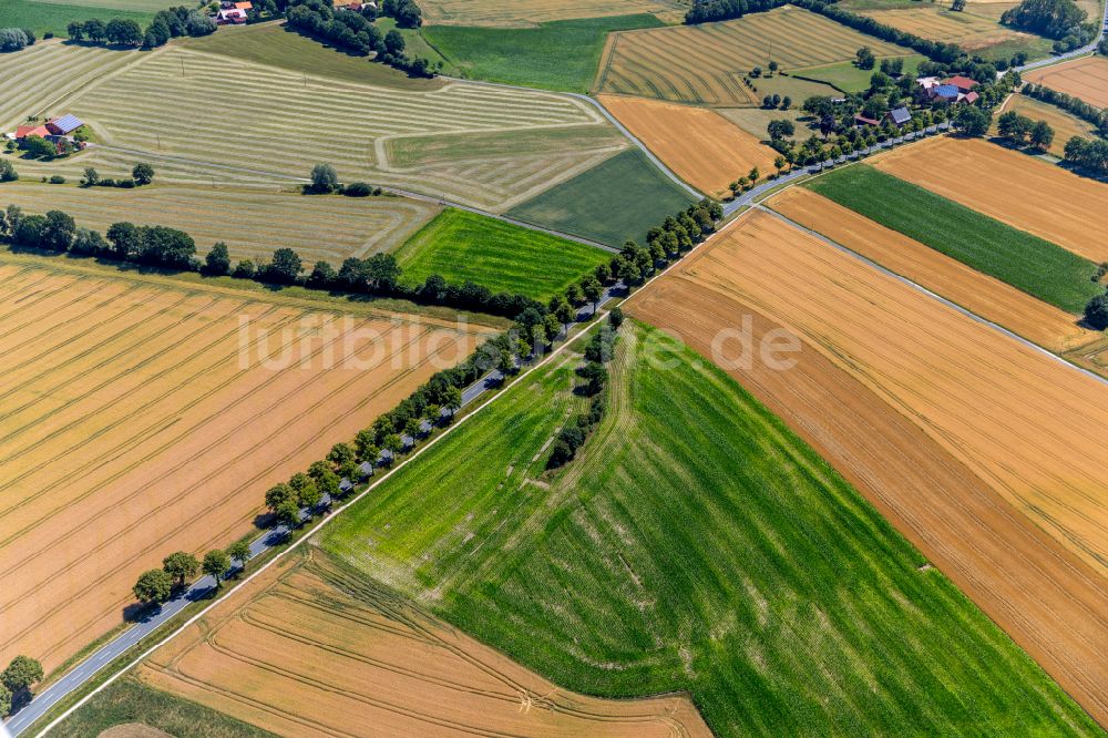 Luftbild Westkirchen - Strukturen auf landwirtschaftlichen Feldern in Westkirchen im Bundesland Nordrhein-Westfalen, Deutschland