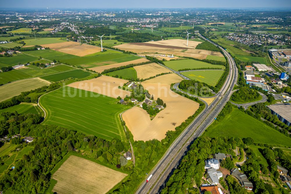 Luftaufnahme Witten - Strukturen auf landwirtschaftlichen Feldern in Witten im Bundesland Nordrhein-Westfalen, Deutschland