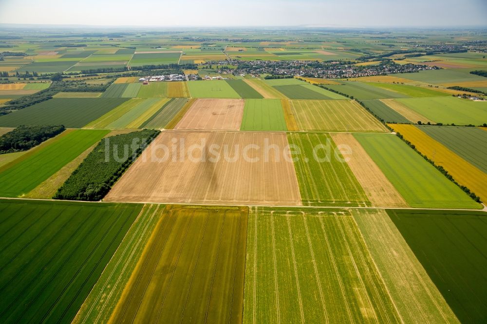 Zülpich von oben - Strukturen auf landwirtschaftlichen Feldern in Zülpich im Bundesland Nordrhein-Westfalen