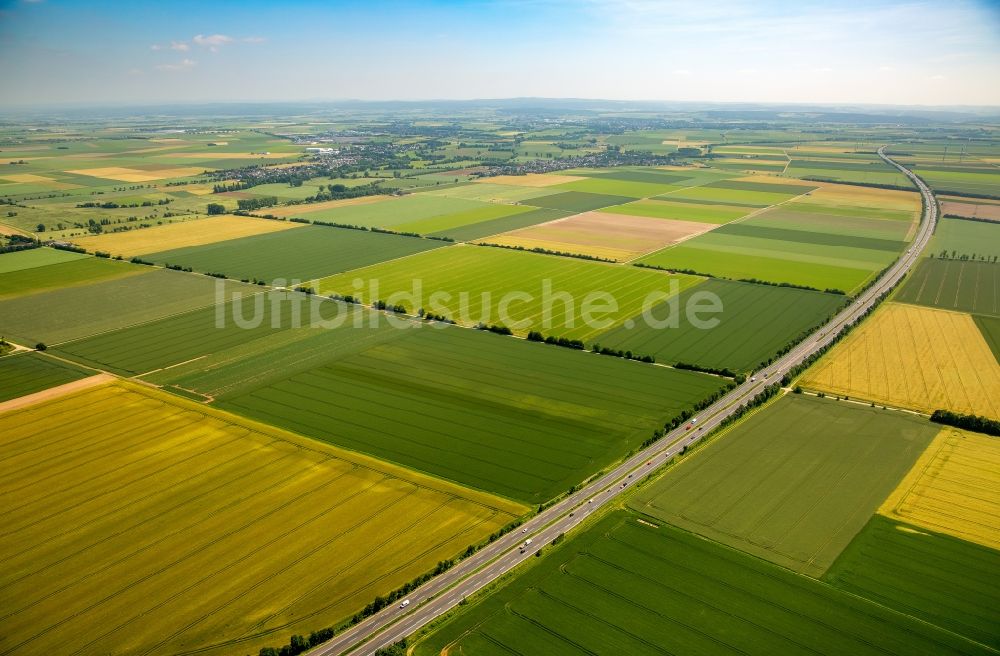 Zülpich von oben - Strukturen auf landwirtschaftlichen Feldern in Zülpich im Bundesland Nordrhein-Westfalen