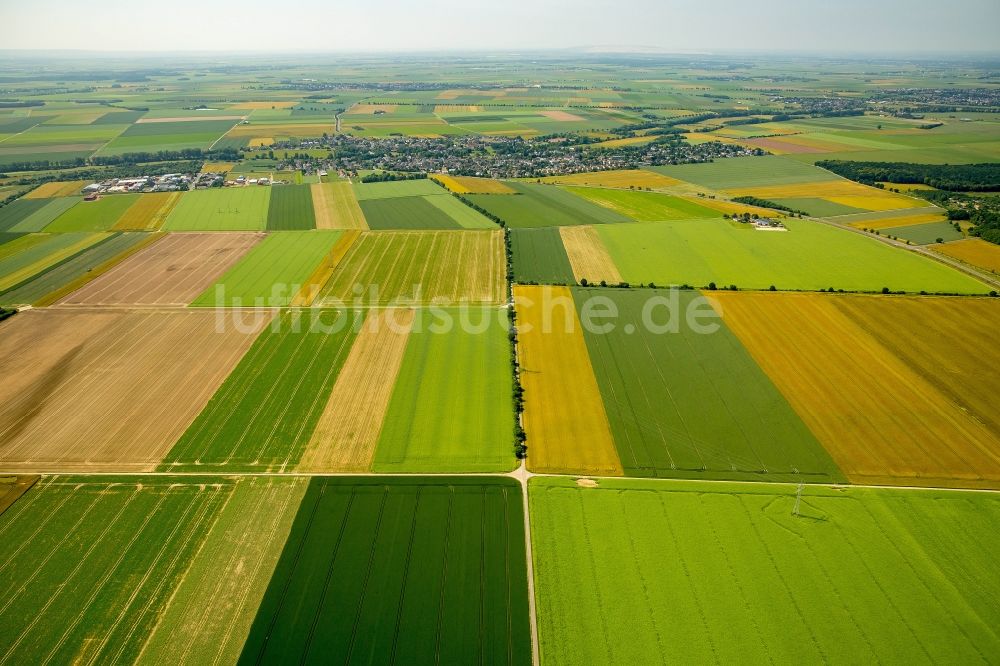 Zülpich aus der Vogelperspektive: Strukturen auf landwirtschaftlichen Feldern in Zülpich im Bundesland Nordrhein-Westfalen