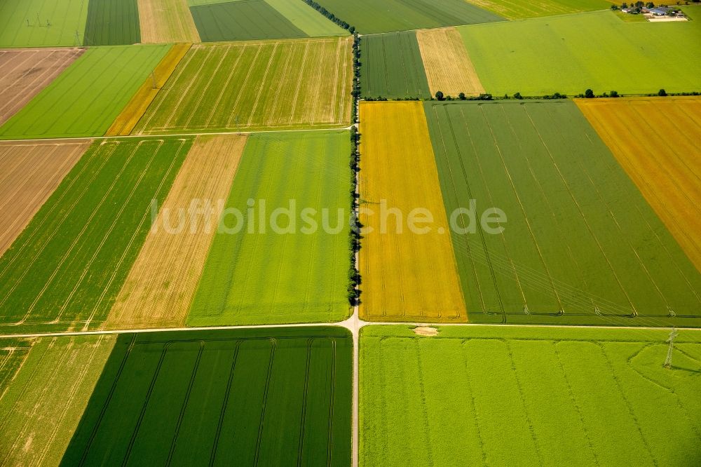 Luftbild Zülpich - Strukturen auf landwirtschaftlichen Feldern in Zülpich im Bundesland Nordrhein-Westfalen