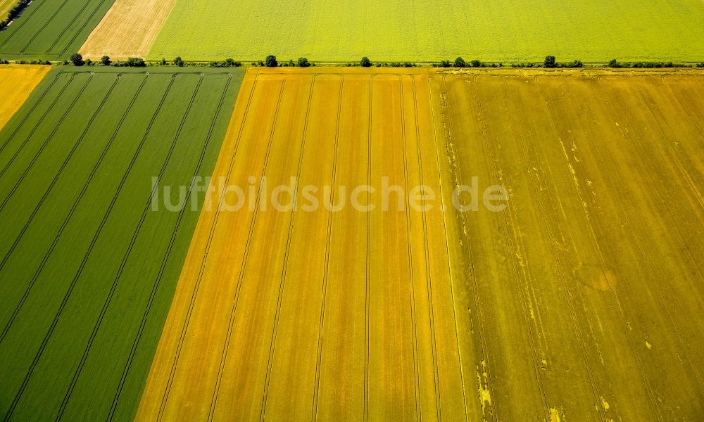 Luftaufnahme Zülpich - Strukturen auf landwirtschaftlichen Feldern in Zülpich im Bundesland Nordrhein-Westfalen