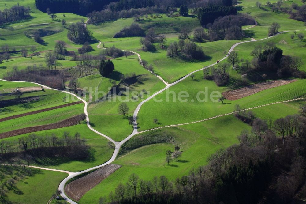 Luftbild Hasel - Strukturen und Wege in landwirtschaftlichen Feldern in Hasel im Bundesland Baden-Württemberg