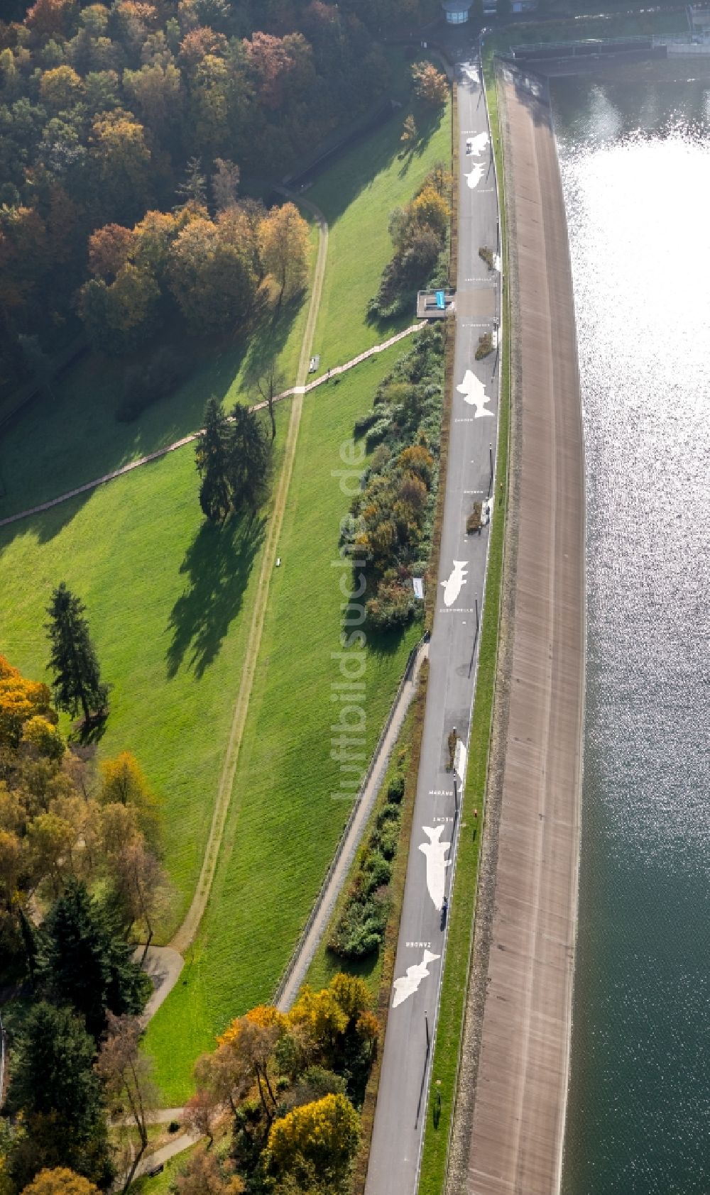 Meschede aus der Vogelperspektive: Talsperren - Staudamm und Stausee in Meschede im Bundesland Nordrhein-Westfalen, Deutschland