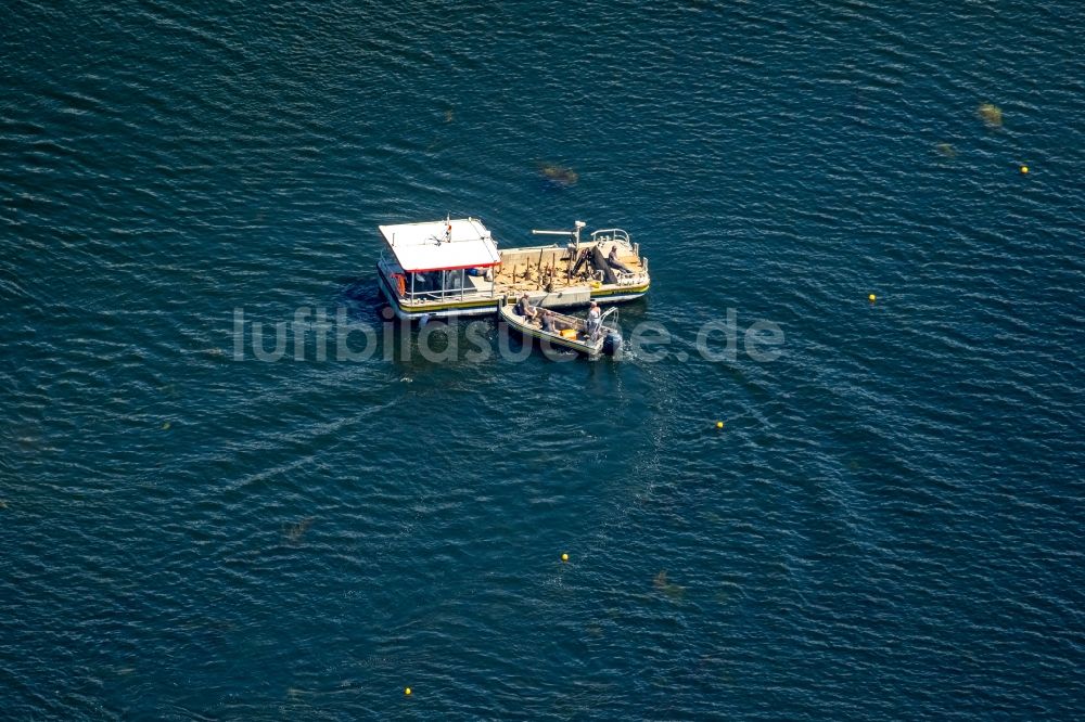 Luftaufnahme Essen - Tauchboot auf der Ruhr in Essen im Bundesland Nordrhein-Westfalen