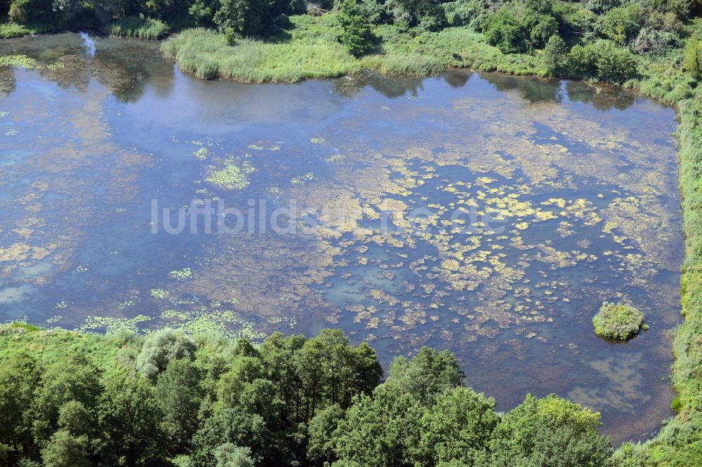 Luftbild Lebus - Teich in Lebus im Bundesland Brandenburg