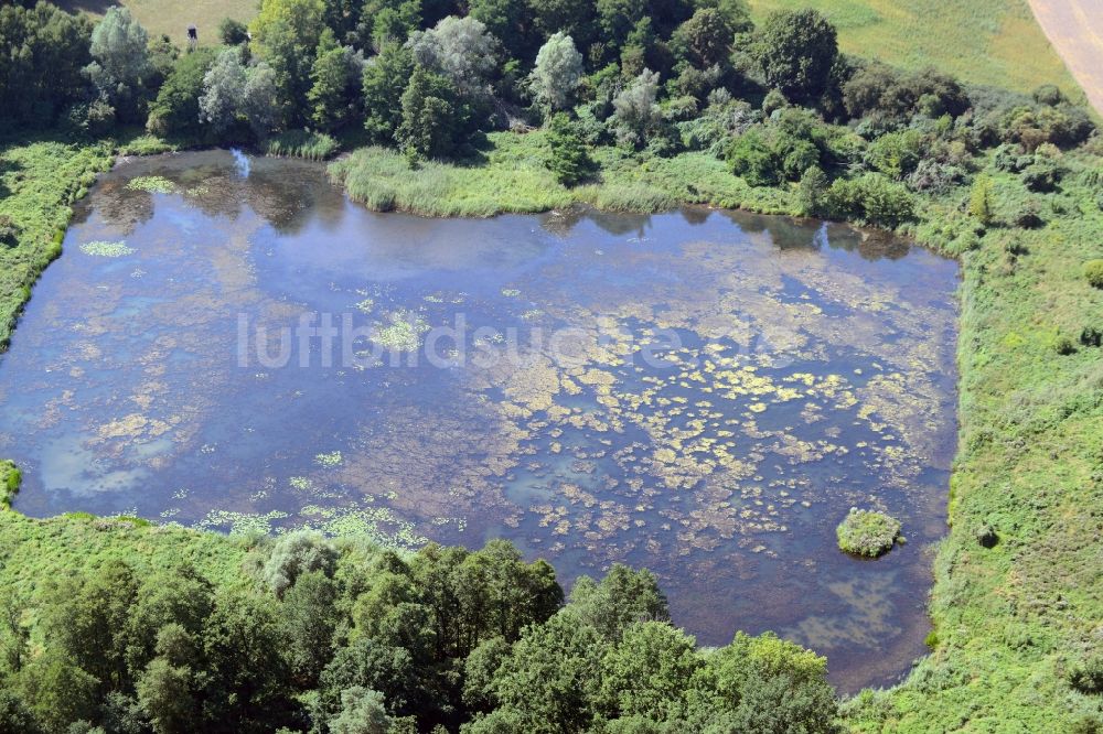 Luftaufnahme Lebus - Teich in Lebus im Bundesland Brandenburg