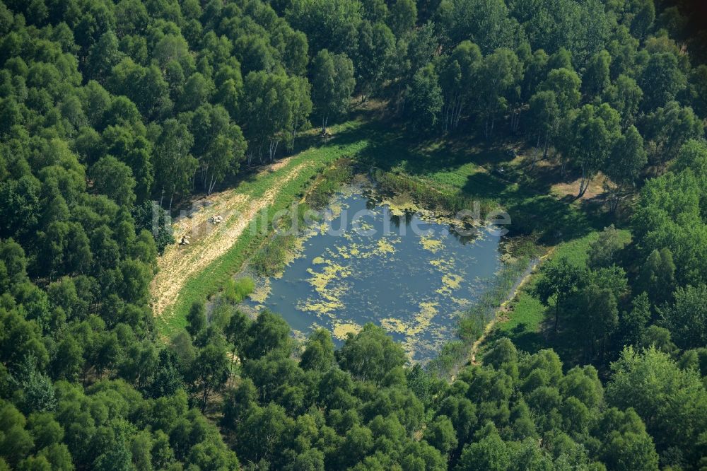 Luftbild Heidehof-Golmberg - Teich im Süden des Naturschutzgebietes Heidehof-Golmberg im Bundesland Brandenburg