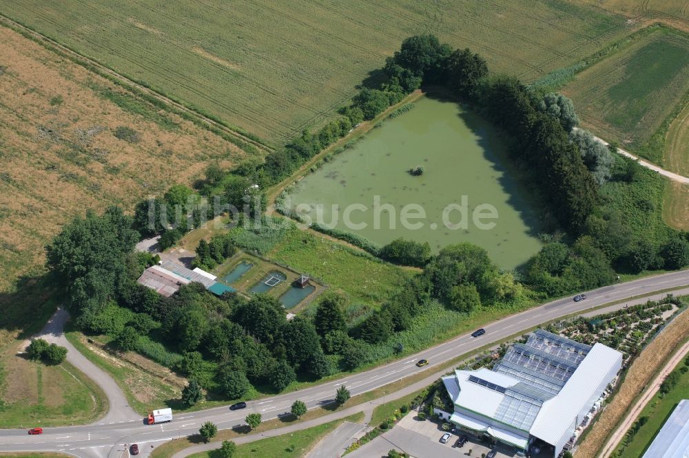 Rheinfelden (Baden) aus der Vogelperspektive: Teichanlage zur Fischzucht und Vereinsgelände des Angelsportverein Rheinfelden in Rheinfelden (Baden) im Bundesland Baden-Württemberg, Deutschland