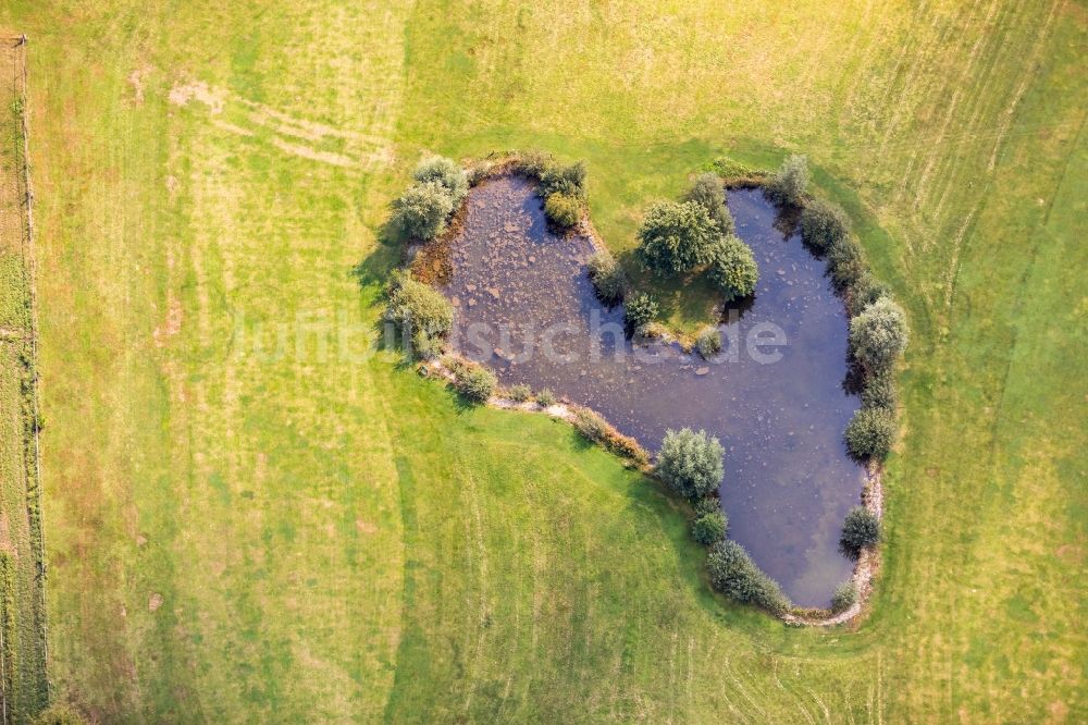 Luftaufnahme Emmerich am Rhein - Teichanlagen auf einem Feld in Emmerich am Rhein im Bundesland Nordrhein-Westfalen, Deutschland