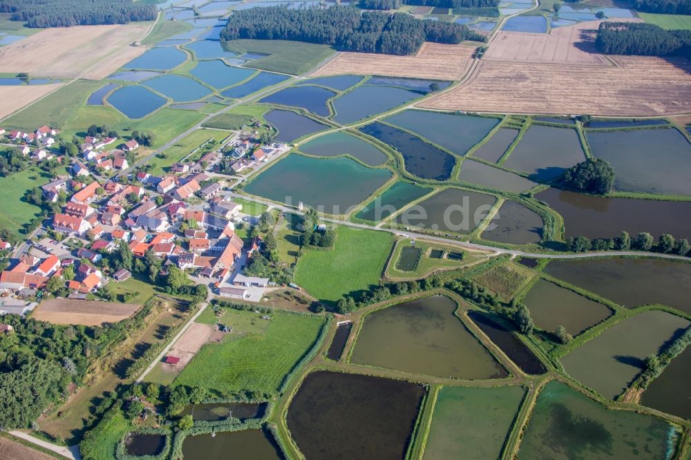 Weisendorf aus der Vogelperspektive: Teichanlagen zur Fischzucht Fränkische Karpfenzuchtbecken in Oberlindach bei Erlangen in Weisendorf im Bundesland Bayern