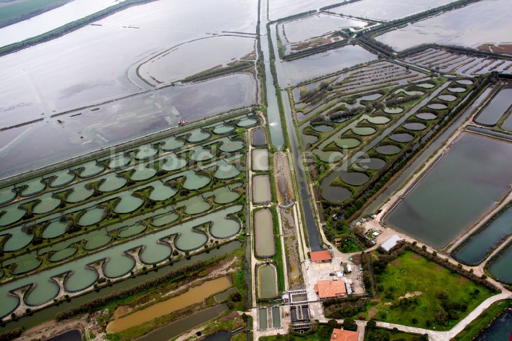 Luftbild Porto Tolle - Teichanlagen zur Fischzucht am Podelta in Porto Tolle in Veneto, Italien