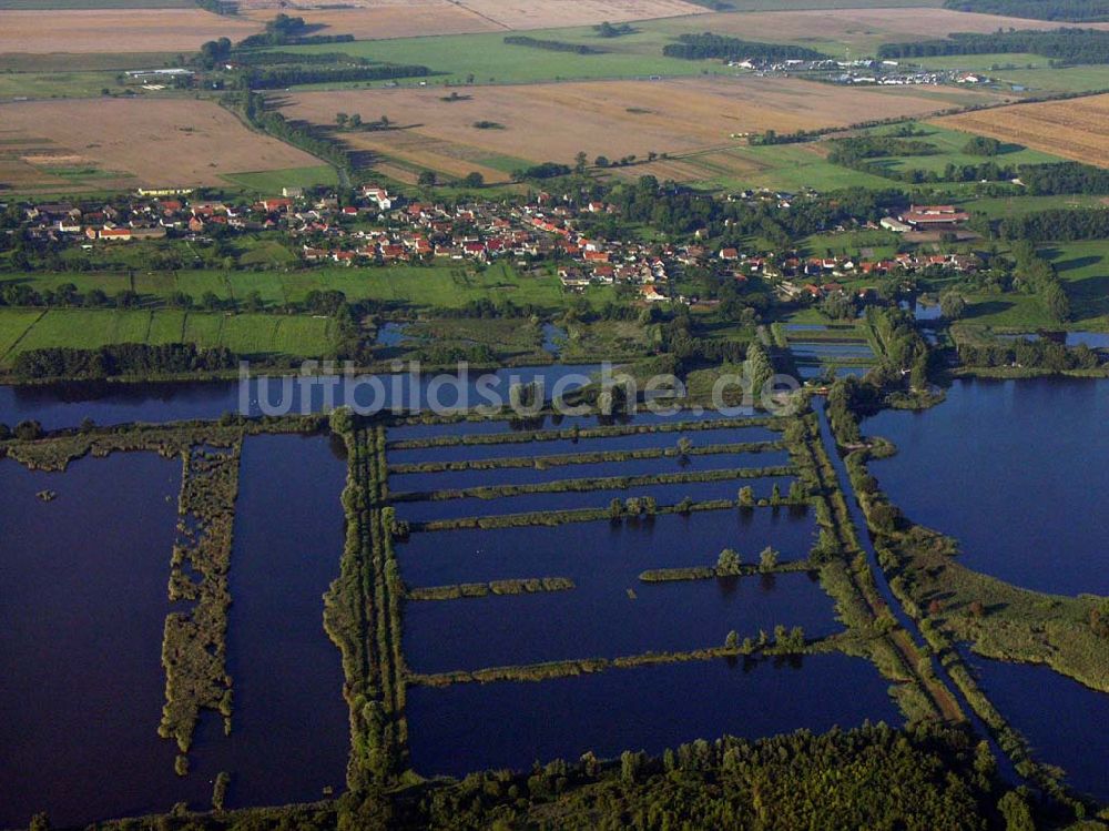 Luftaufnahme Linum (Brandenburg) - Teichlandschaft - Linum (Brandenburg)