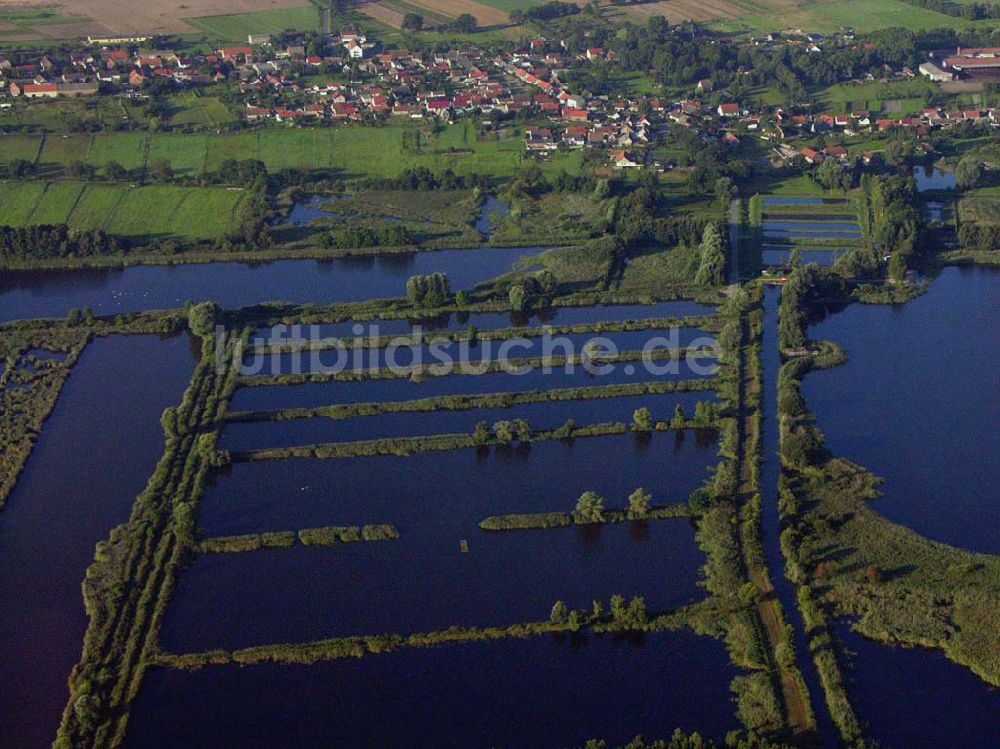 Linum (Brandenburg) von oben - Teichlandschaft - Linum (Brandenburg)