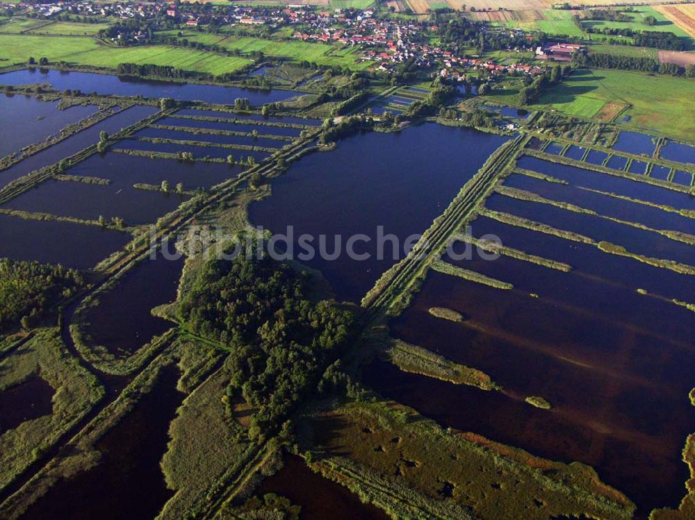 Luftbild Linum (Brandenburg) - Teichlandschaft - Linum (Brandenburg)