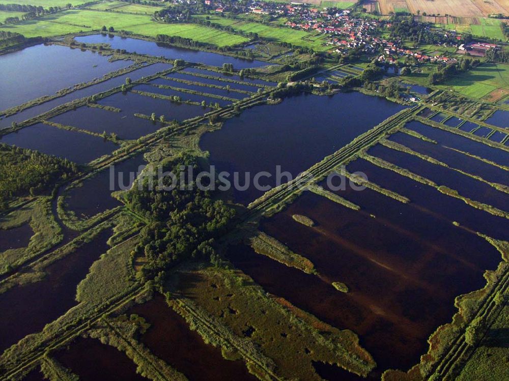 Luftaufnahme Linum (Brandenburg) - Teichlandschaft - Linum (Brandenburg)