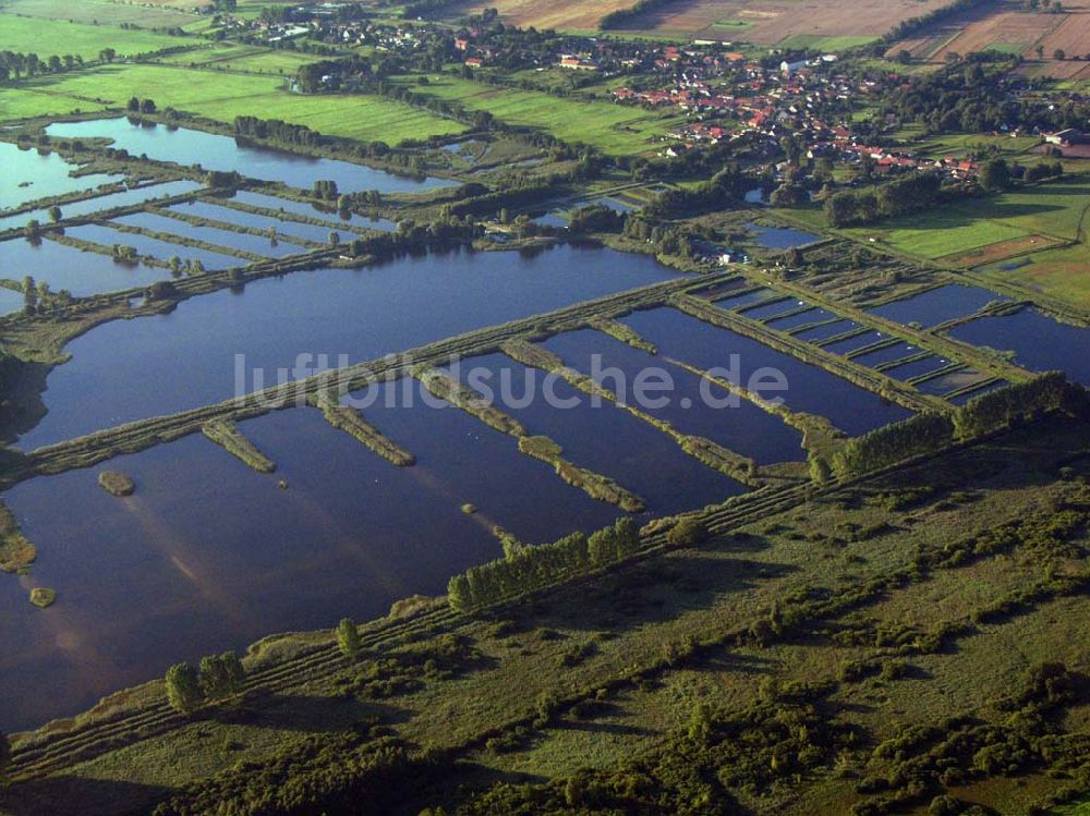 Linum (Brandenburg) von oben - Teichlandschaft - Linum (Brandenburg)