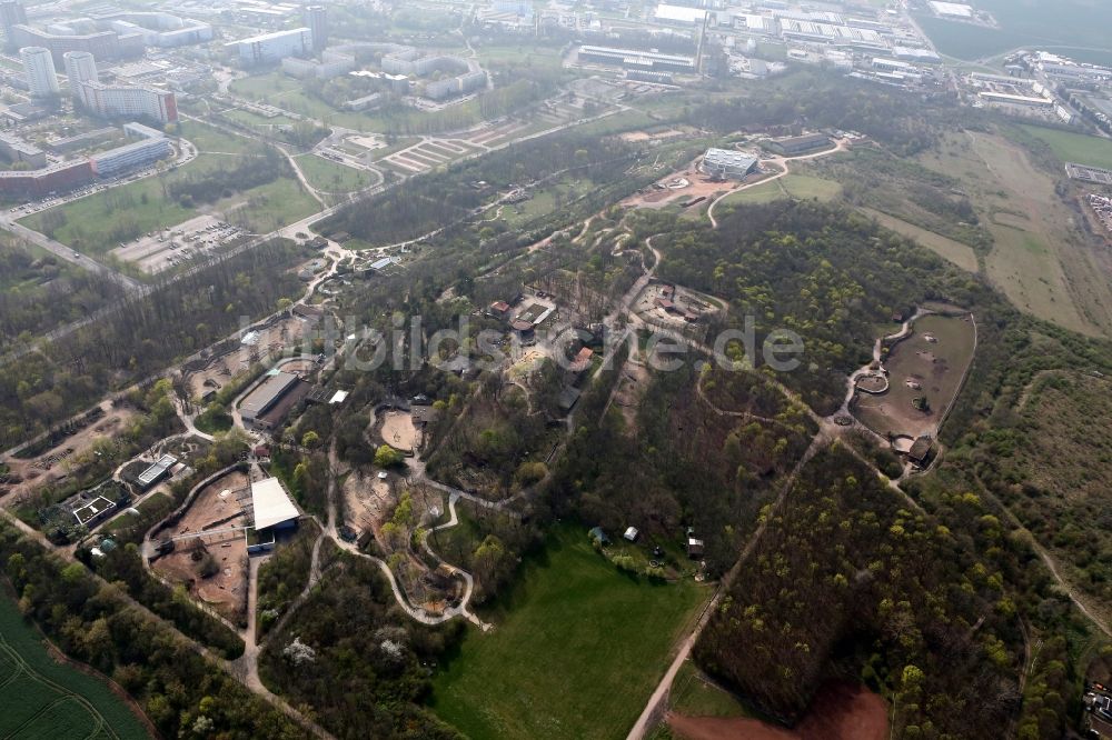 Erfurt von oben - Thüringer Zoopark am Roten Berg in Erfurt im Bundesland Thüringen