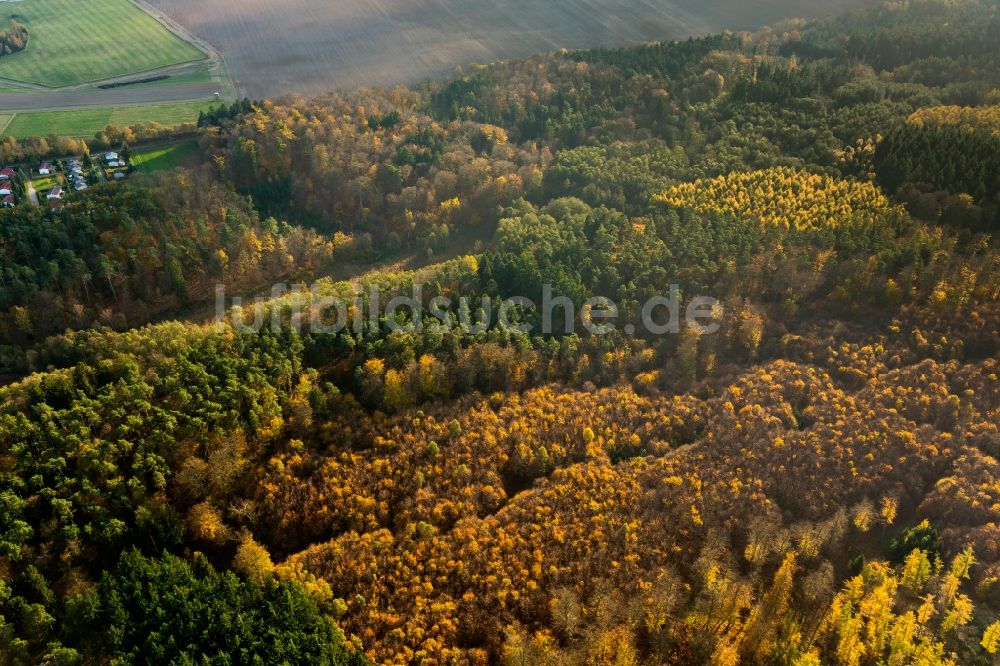 Luftbild Dargun - Tiergarten im Herbst bei Dargun im Bundesland Mecklenburg-Vorpommern