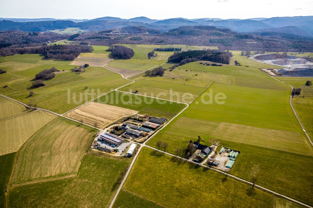 Brilon aus der Vogelperspektive: Tierzucht- Stallanlagen in Brilon im Bundesland Nordrhein-Westfalen, Deutschland