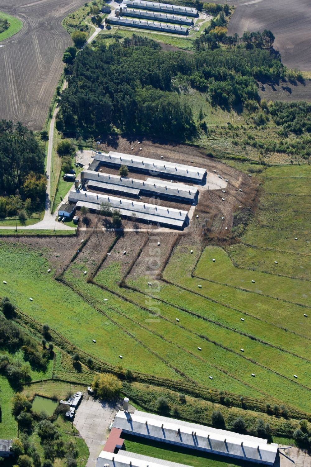 Bliesdorf von oben - Tierzucht- Stallanlagen Tierzucht für die Fleischproduktion in Bliesdorf im Bundesland Brandenburg, Deutschland