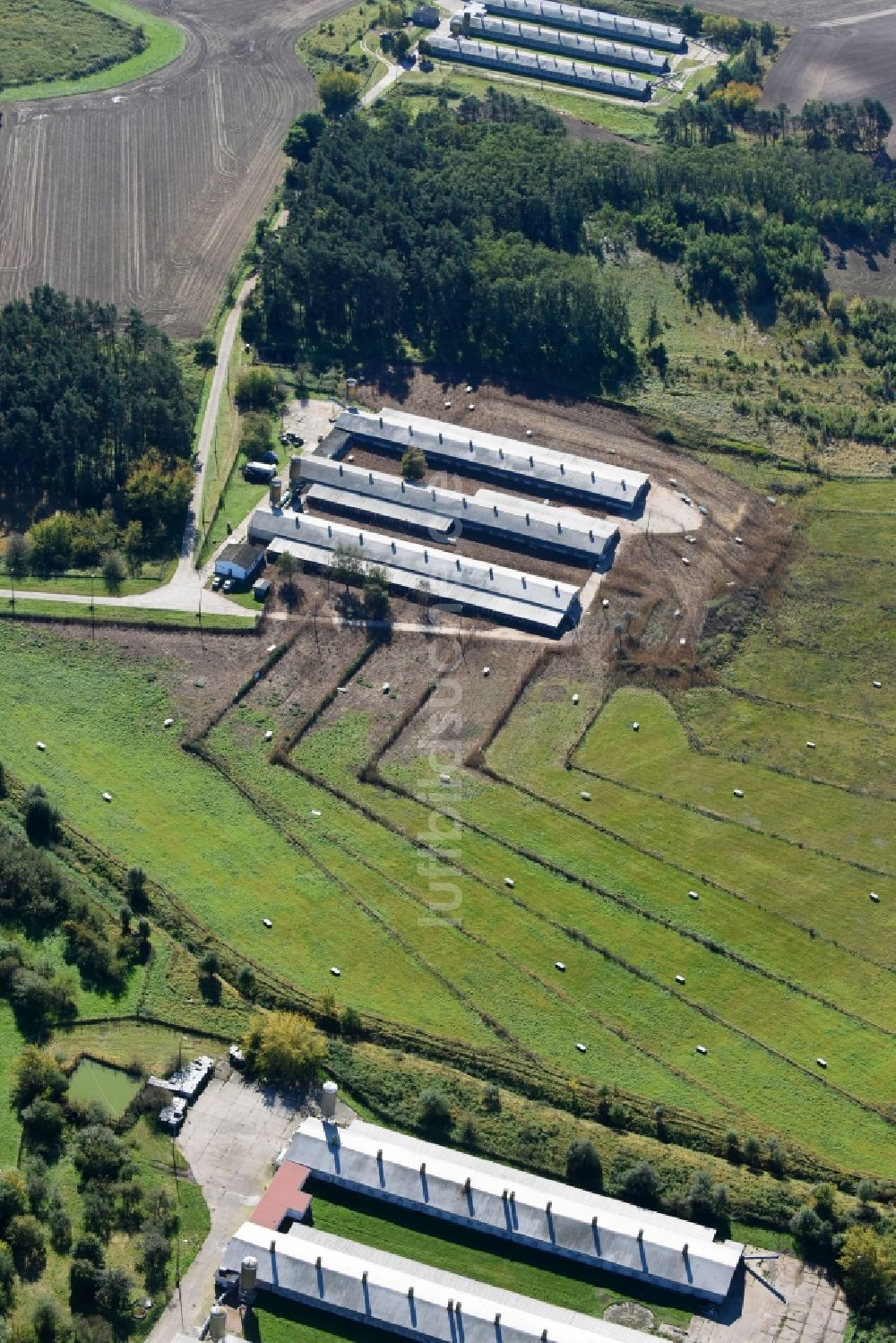 Bliesdorf aus der Vogelperspektive: Tierzucht- Stallanlagen Tierzucht für die Fleischproduktion in Bliesdorf im Bundesland Brandenburg, Deutschland