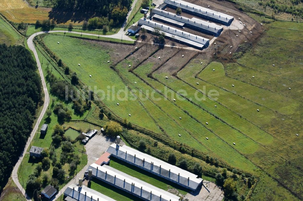 Luftbild Bliesdorf - Tierzucht- Stallanlagen Tierzucht für die Fleischproduktion in Bliesdorf im Bundesland Brandenburg, Deutschland