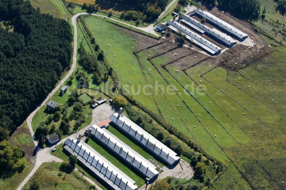 Luftaufnahme Bliesdorf - Tierzucht- Stallanlagen Tierzucht für die Fleischproduktion in Bliesdorf im Bundesland Brandenburg, Deutschland