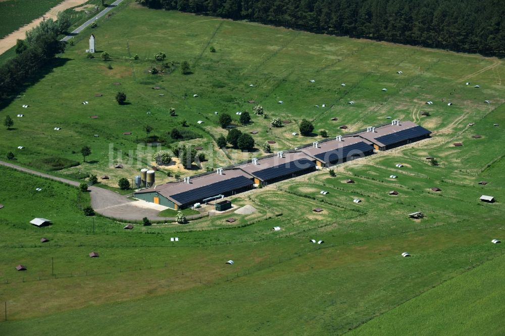 Buchholz von oben - Tierzucht- Stallanlagen Tierzucht für die Fleischproduktion in Buchholz im Bundesland Mecklenburg-Vorpommern