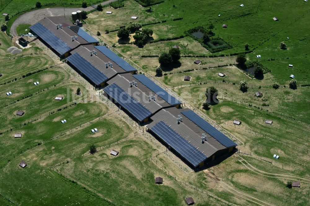 Buchholz aus der Vogelperspektive: Tierzucht- Stallanlagen Tierzucht für die Fleischproduktion in Buchholz im Bundesland Mecklenburg-Vorpommern