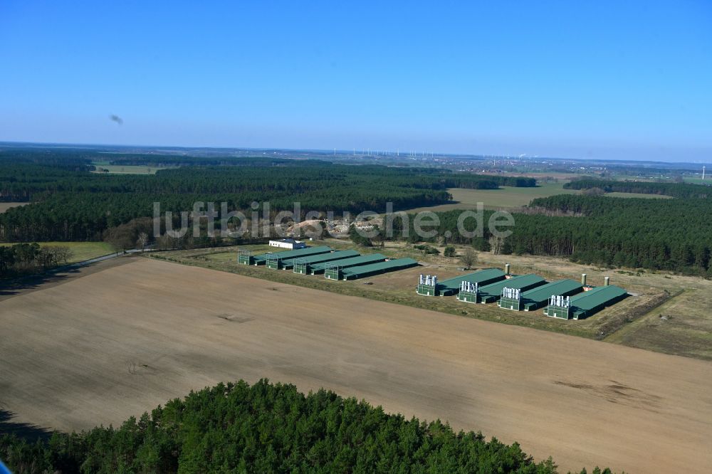 Luftaufnahme Wittstock/Dosse - Tierzucht- Stallanlagen Tierzucht für die Fleischproduktion auf einem Feld in Wittstock/Dosse im Bundesland Brandenburg, Deutschland