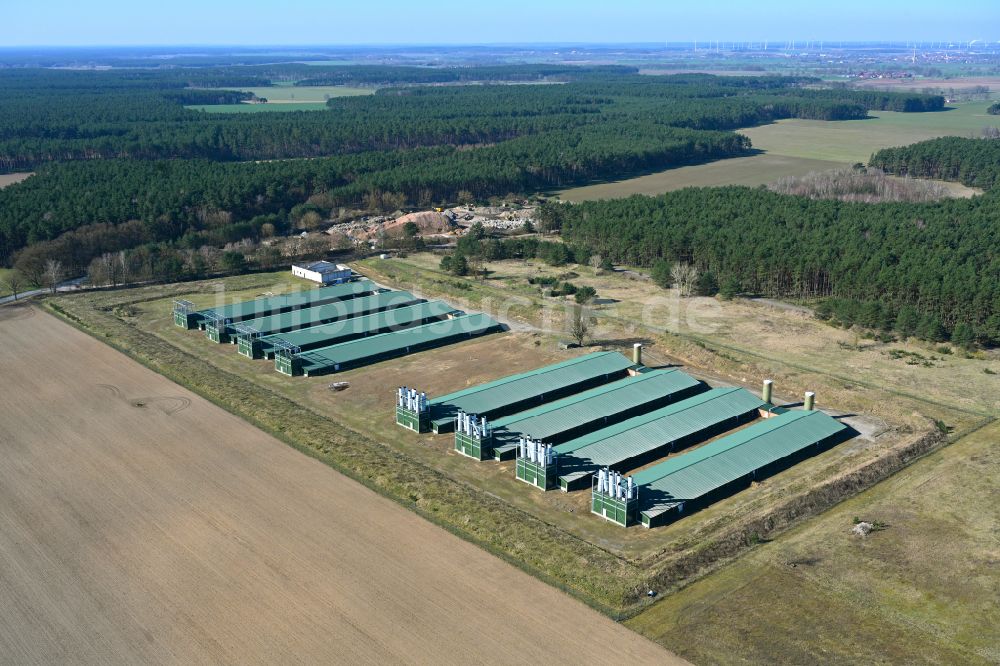 Wittstock/Dosse von oben - Tierzucht- Stallanlagen Tierzucht für die Fleischproduktion auf einem Feld in Wittstock/Dosse im Bundesland Brandenburg, Deutschland