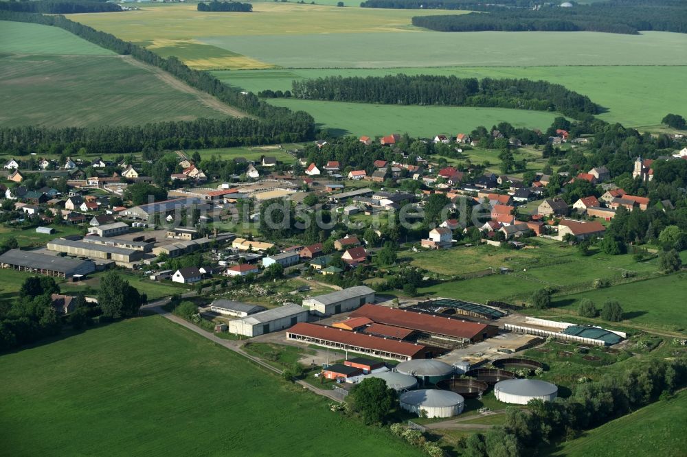 Fehrbellin aus der Vogelperspektive: Tierzucht- Stallanlagen Tierzucht für die Fleischproduktion in Fehrbellin im Bundesland Brandenburg