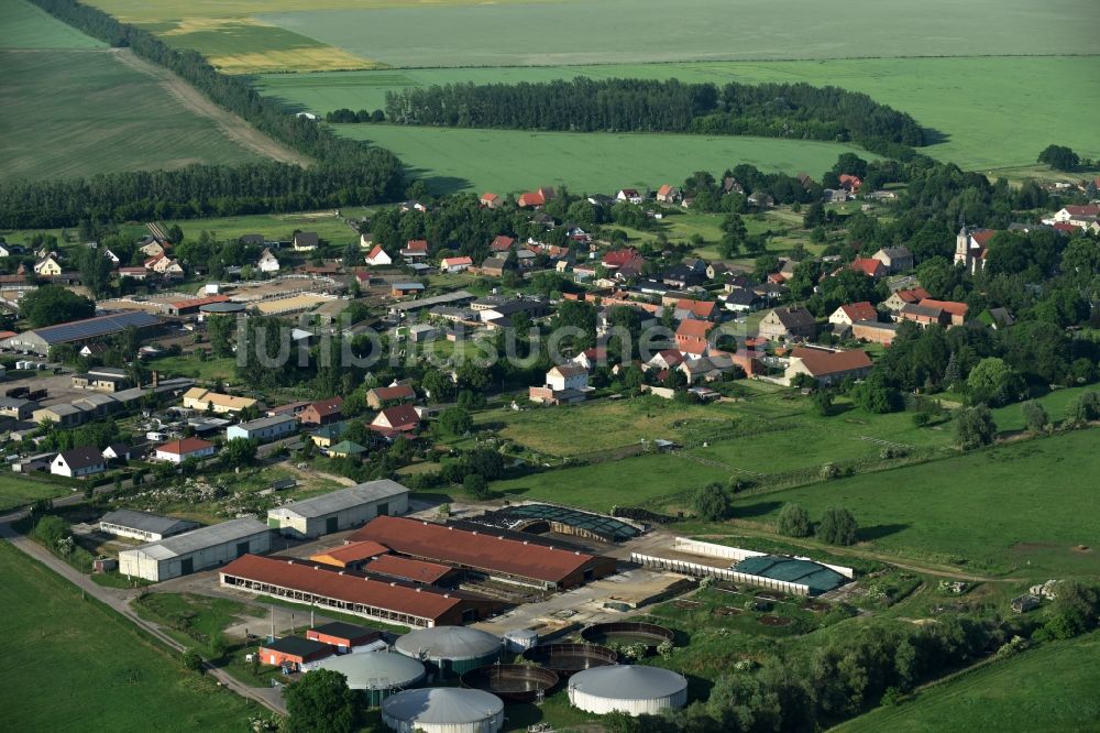 Luftbild Fehrbellin - Tierzucht- Stallanlagen Tierzucht für die Fleischproduktion in Fehrbellin im Bundesland Brandenburg