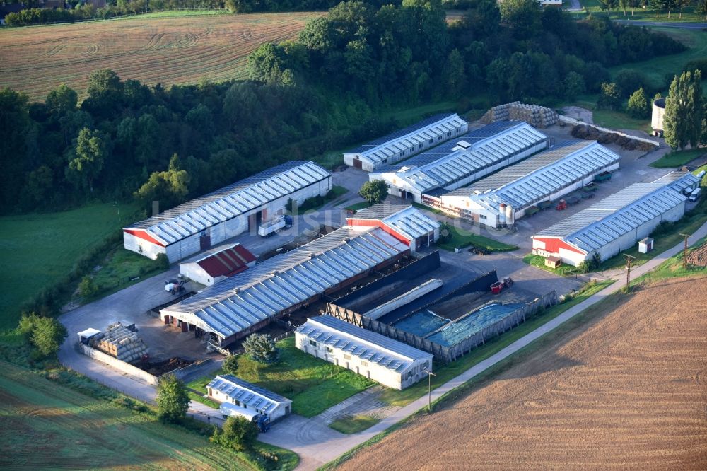 Luftbild Harzungen - Tierzucht- Stallanlagen Tierzucht für die Fleischproduktion in Harzungen im Bundesland Thüringen, Deutschland