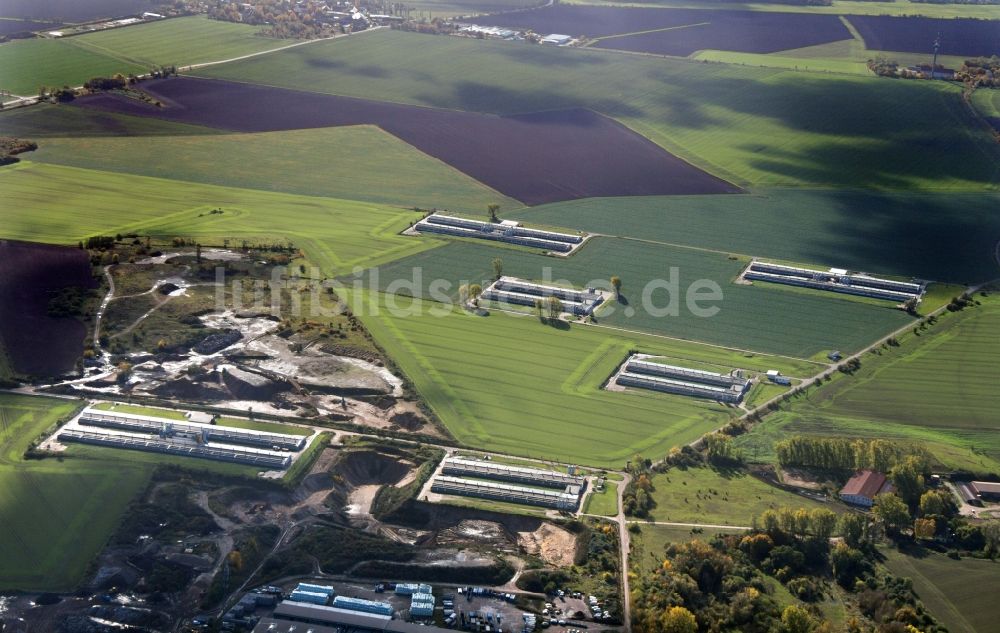 Luftbild Landsberg - Tierzucht- Stallanlagen Tierzucht für die Fleischproduktion in Landsberg im Bundesland Sachsen-Anhalt