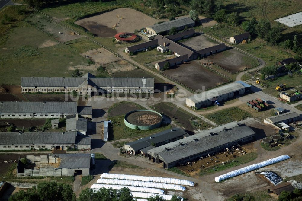 Liebenwalde aus der Vogelperspektive: Tierzucht- Stallanlagen Tierzucht für die Fleischproduktion in Liebenwalde im Bundesland Brandenburg