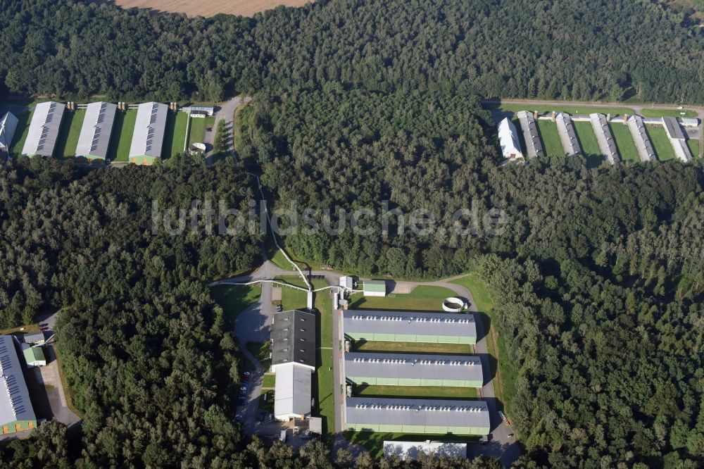 Neukirchen/Erzgebirge aus der Vogelperspektive: Tierzucht- Stallanlagen Tierzucht für die Fleischproduktion in Neukirchen/Erzgebirge im Bundesland Sachsen