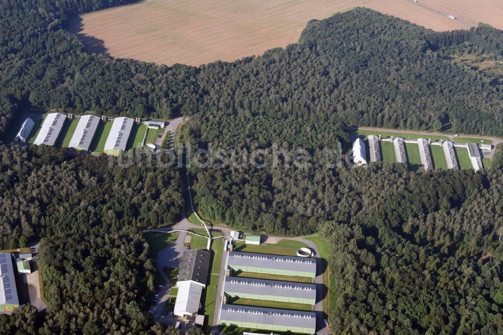 Luftbild Neukirchen/Erzgebirge - Tierzucht- Stallanlagen Tierzucht für die Fleischproduktion in Neukirchen/Erzgebirge im Bundesland Sachsen