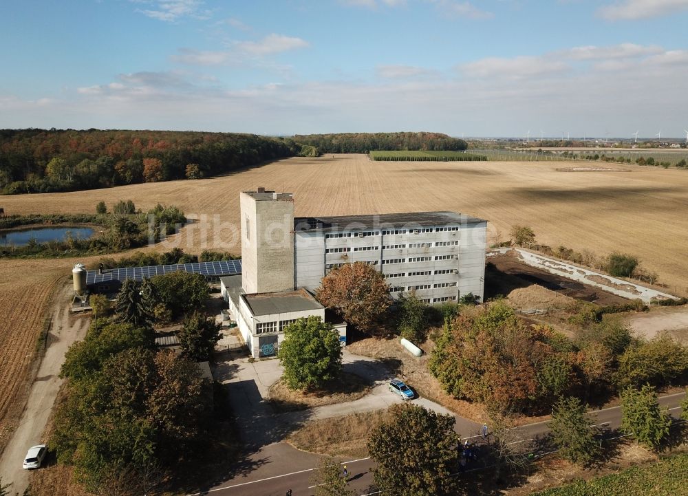 Maasdorf von oben - Tierzucht- Stallanlagen Tierzucht für die Fleischproduktion Schweinehochhaus in Maasdorf im Bundesland Sachsen-Anhalt, Deutschland