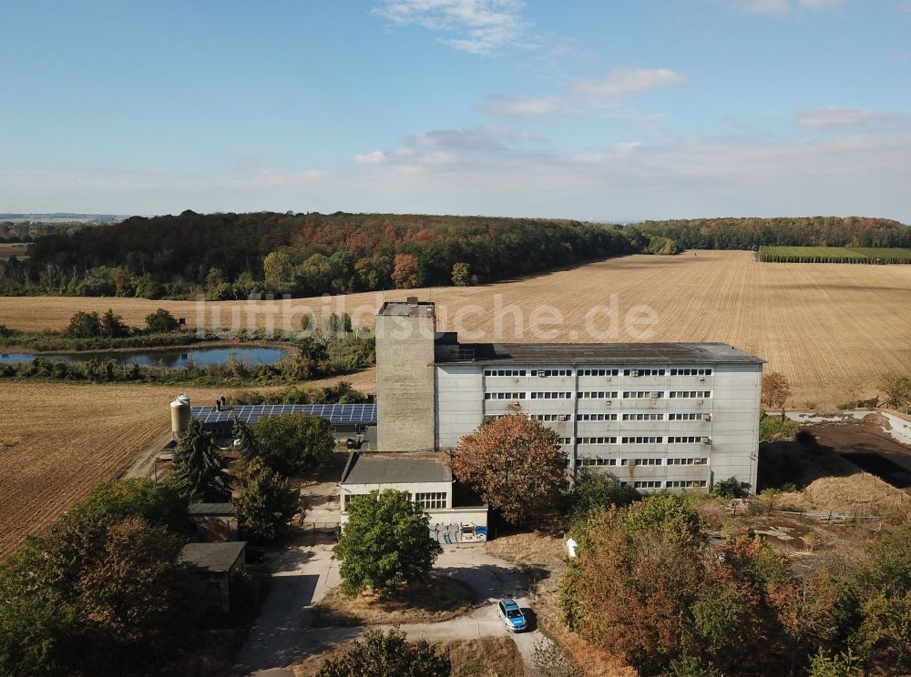 Maasdorf aus der Vogelperspektive: Tierzucht- Stallanlagen Tierzucht für die Fleischproduktion Schweinehochhaus in Maasdorf im Bundesland Sachsen-Anhalt, Deutschland