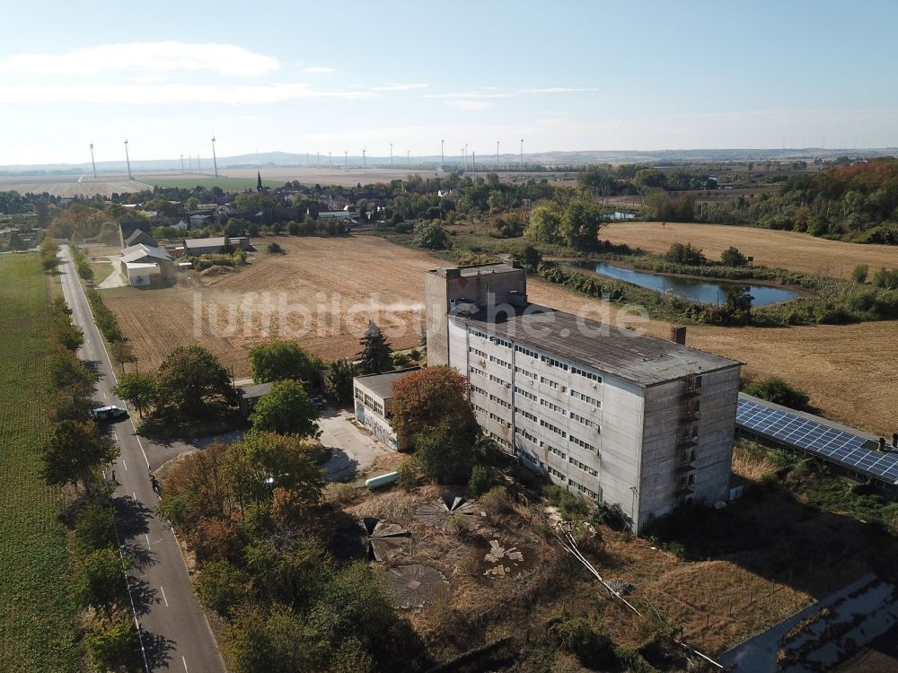 Luftbild Maasdorf - Tierzucht- Stallanlagen Tierzucht für die Fleischproduktion Schweinehochhaus in Maasdorf im Bundesland Sachsen-Anhalt, Deutschland