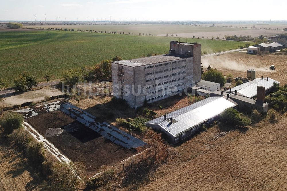 Maasdorf von oben - Tierzucht- Stallanlagen Tierzucht für die Fleischproduktion Schweinehochhaus in Maasdorf im Bundesland Sachsen-Anhalt, Deutschland