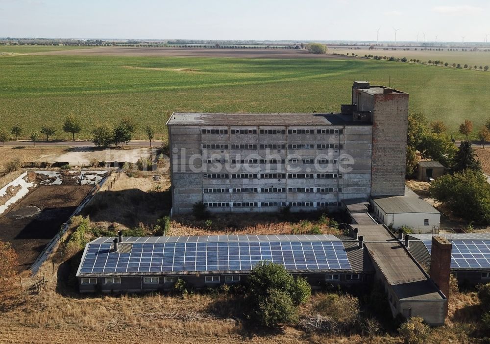 Maasdorf aus der Vogelperspektive: Tierzucht- Stallanlagen Tierzucht für die Fleischproduktion Schweinehochhaus in Maasdorf im Bundesland Sachsen-Anhalt, Deutschland