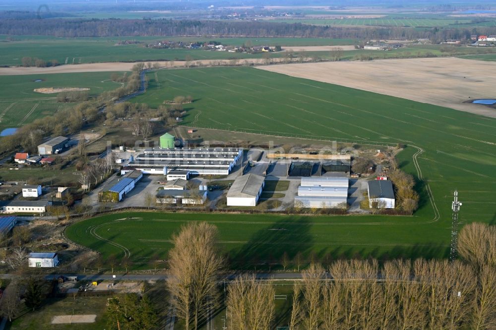 Luftaufnahme Wittstock - Tierzucht- Stallanlagen Tierzucht für die Fleischproduktion der Wittstocker Rinder & Marktfrucht GmbH in Wittstock im Bundesland Brandenburg, Deutschland